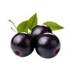 Açai