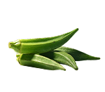 Okra